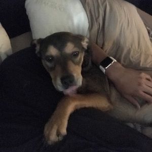 Meet your Posher, Devon